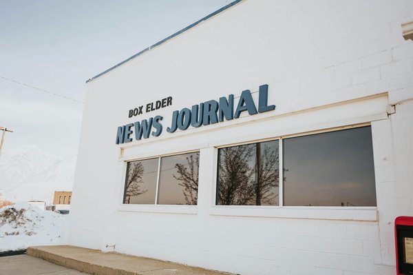 L'Impact Crucial des ONG sur la Protection des Libertés Individuelles
