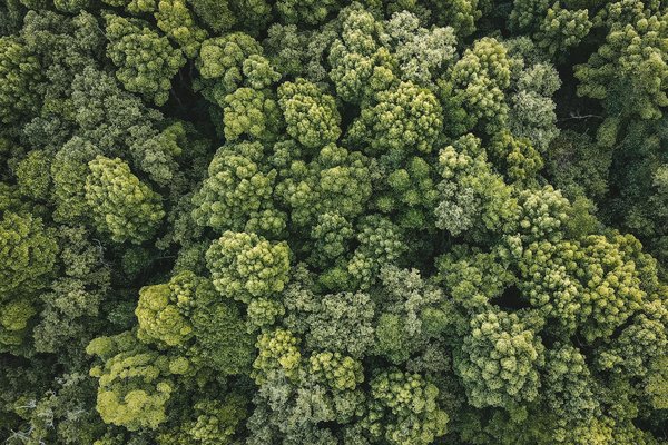 Top Comédies Modernes : Un Voyage de Rires et de Divertissement Incontournable